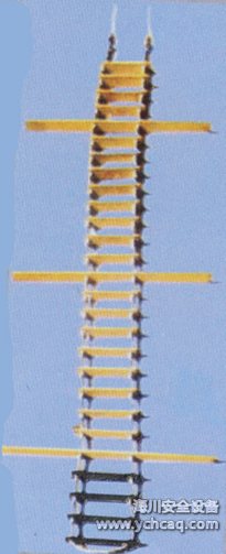 ����Ա����