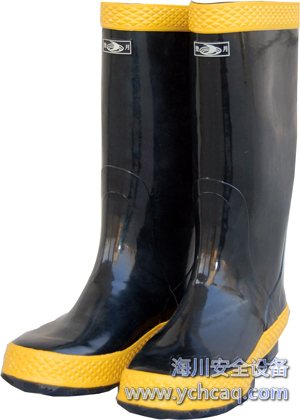 ������ѥ